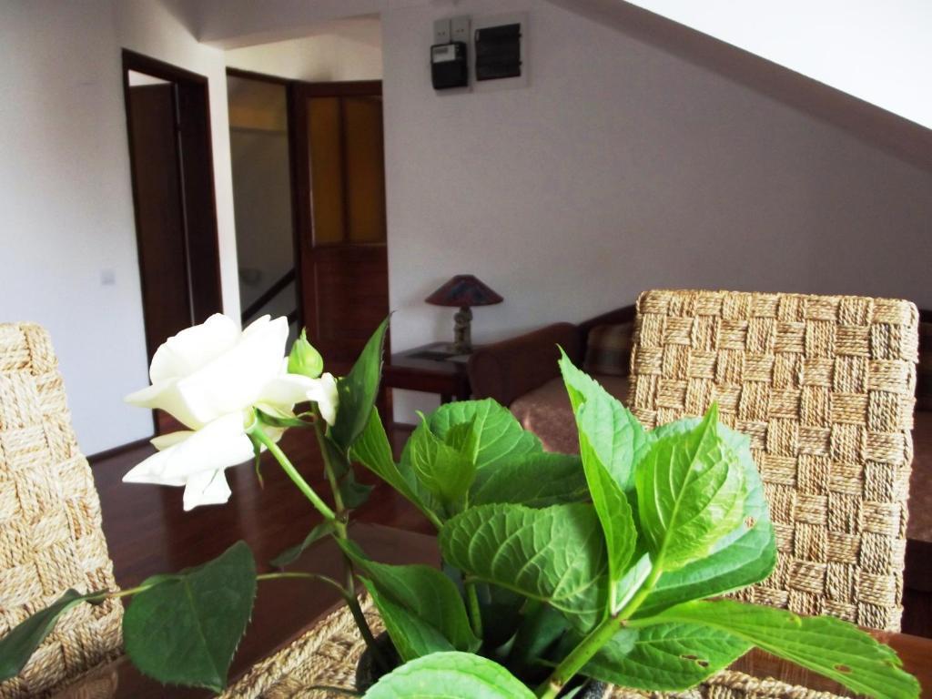 Apartments Budva Center 객실 사진